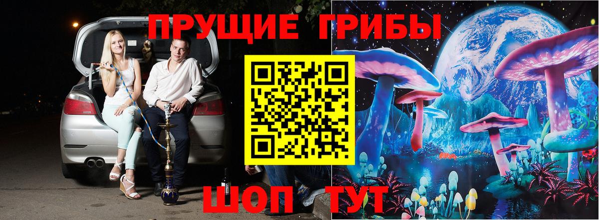 Галлюциногенные грибы Psilocybe Мурино