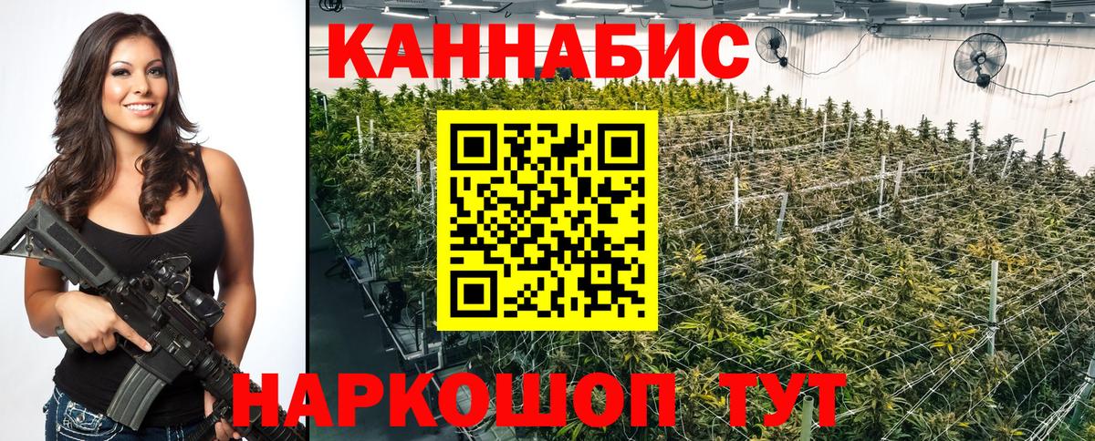 Марихуана OG Kush  Бошки марихуана сатива  Вход с VPN  Каннабис сатива  Бошки марихуана план  Мурино 